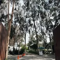 La Floresta Eventos foto 3